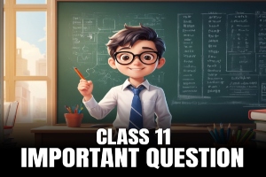 https://www.bizzbrains.com/storage/app/public/images/main_category/300X300/1733135384_class 11 import300.jpg